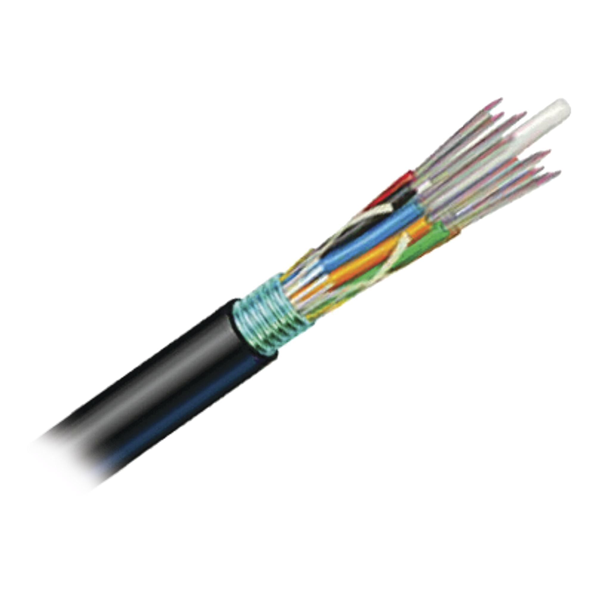 Cable de Fibra Óptica de 12 Hilos, OSP (Planta Externa), No Armada, Gel, MDPE (Polietileno de Media Densidad), Monomodo OS2, 1 Metro (3.28 Pies) — SIEMON · SKU 9PE8C012G-E201A