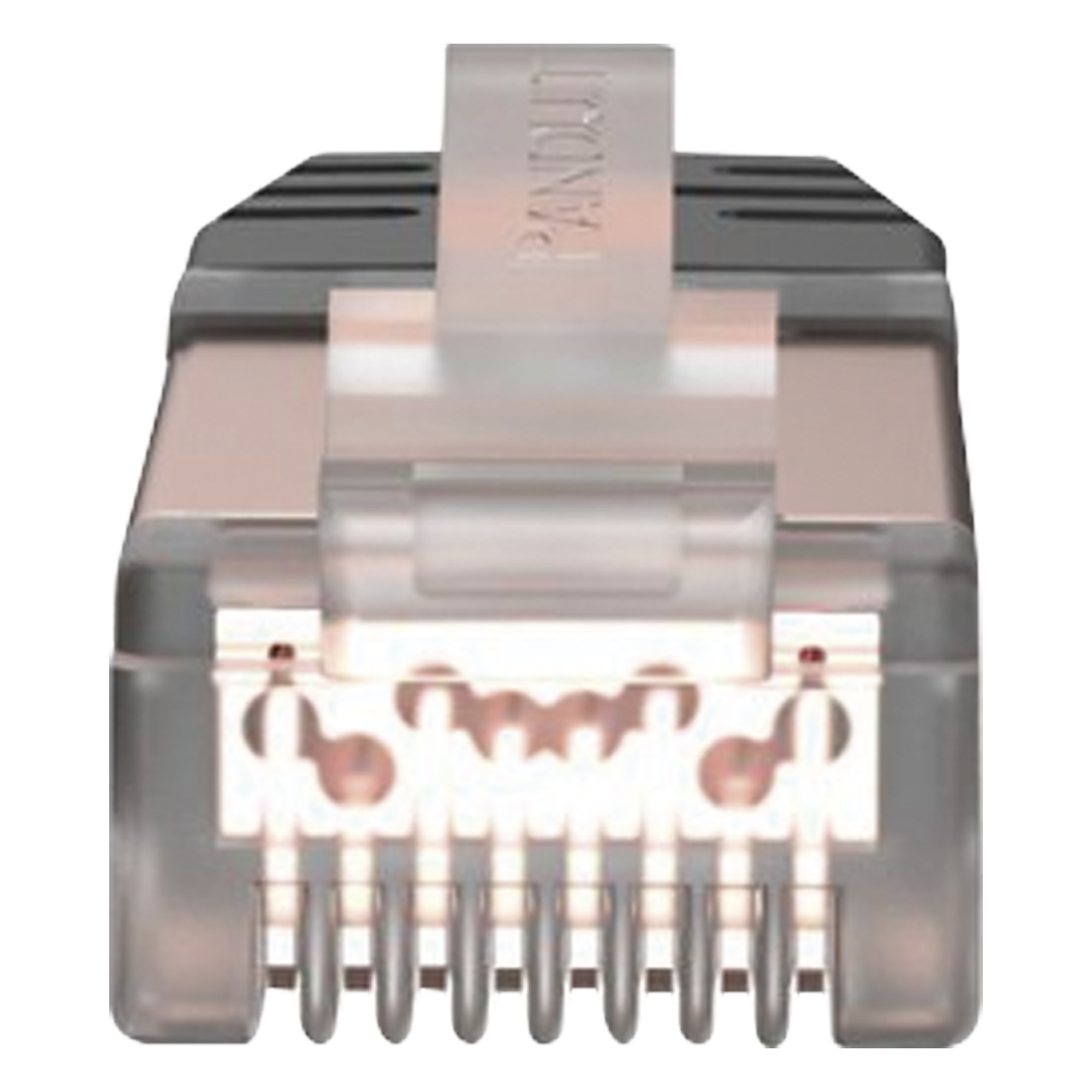 Plug RJ45 Cat6 Blindado, Para Cable Calibre 24-26 AWG, Chapado en Oro de 50 micras, Paquete de 100 Piezas