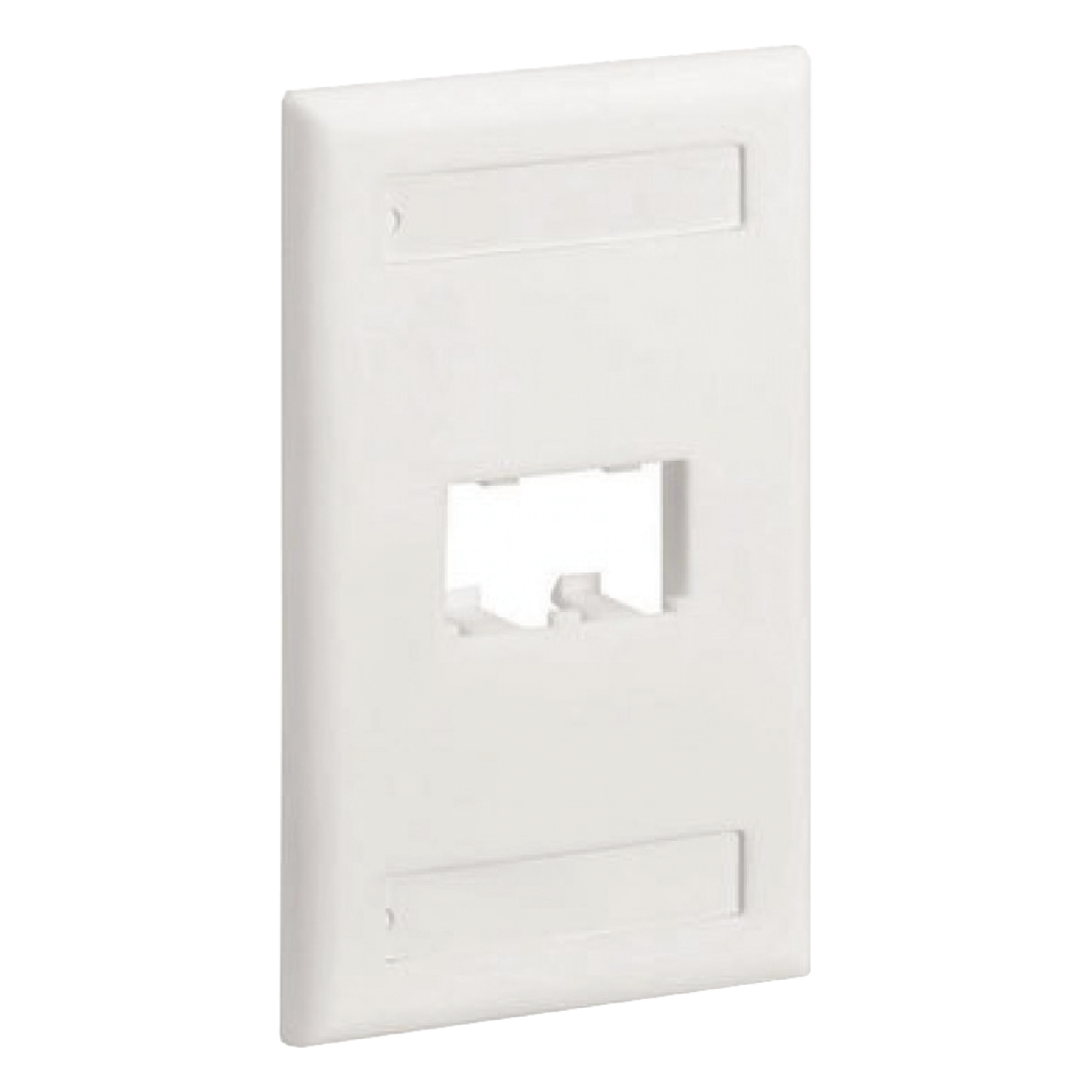 Placa de Pared Vertical Clásica, Salida Para 2 Puertos Mini-Com, Con Espacios Para Etiquetas, Color Blanco — PANDUIT · SKU CFPL2WHY