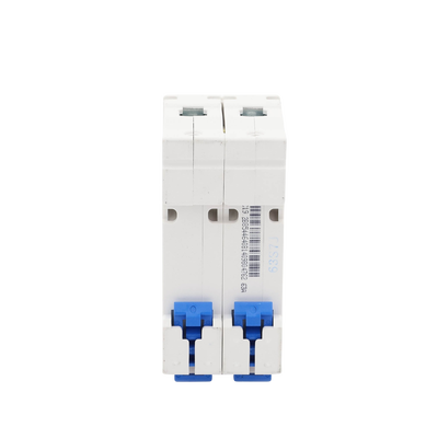 Pastilla para Riel Din, 2 Polo, 63 Amp, Vca:110/415v, 6kA, Catálogo: NXB632PC63.