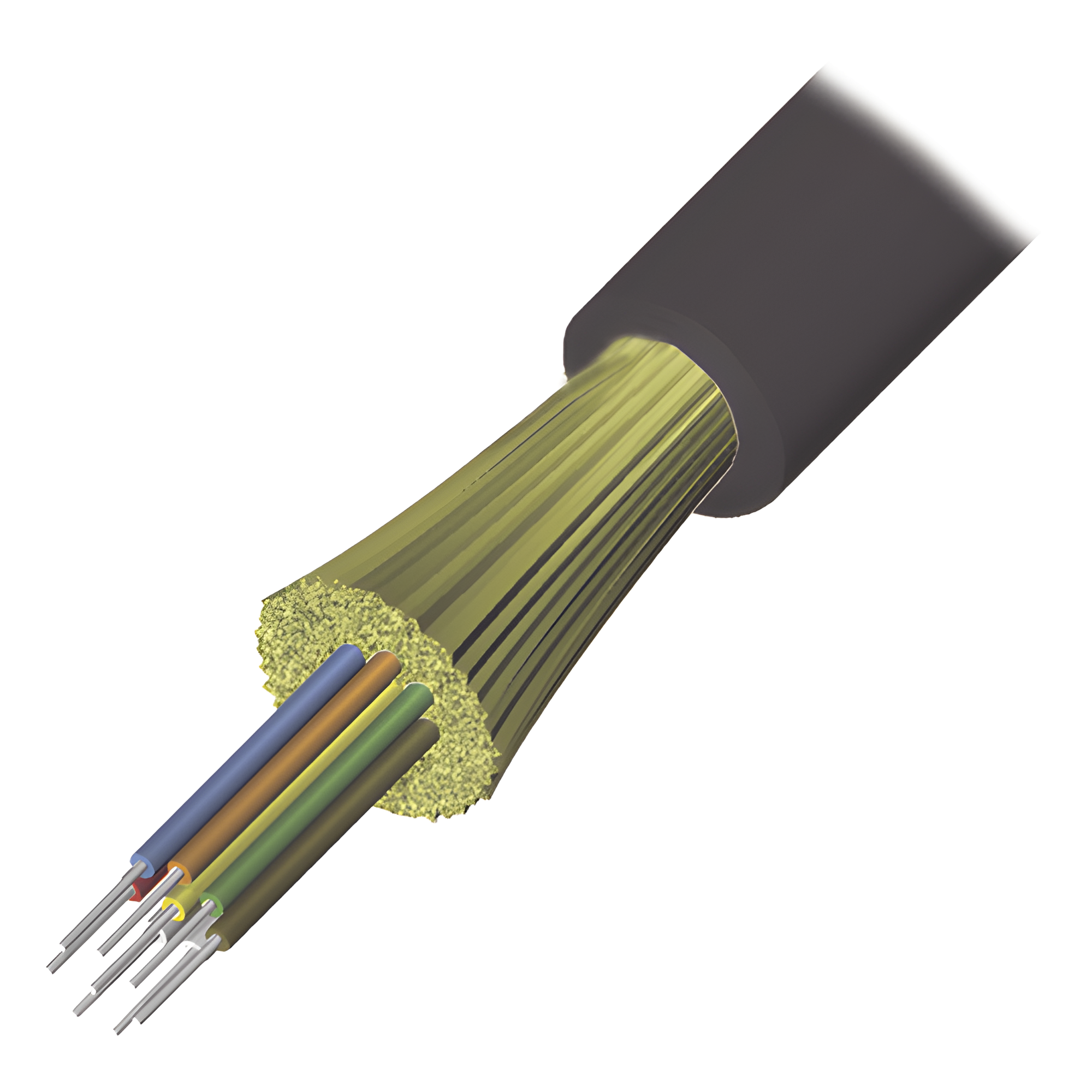 Cable de Fibra Óptica de 6 Hilos, Interior/Exterior, Tight Buffer, No Conductiva (Dieléctrica), LS0H, Multimodo OM4 50/125 Optimizada, 1 Metro (3.28 Pies) — SIEMON · SKU 9GD5H006D-T501M