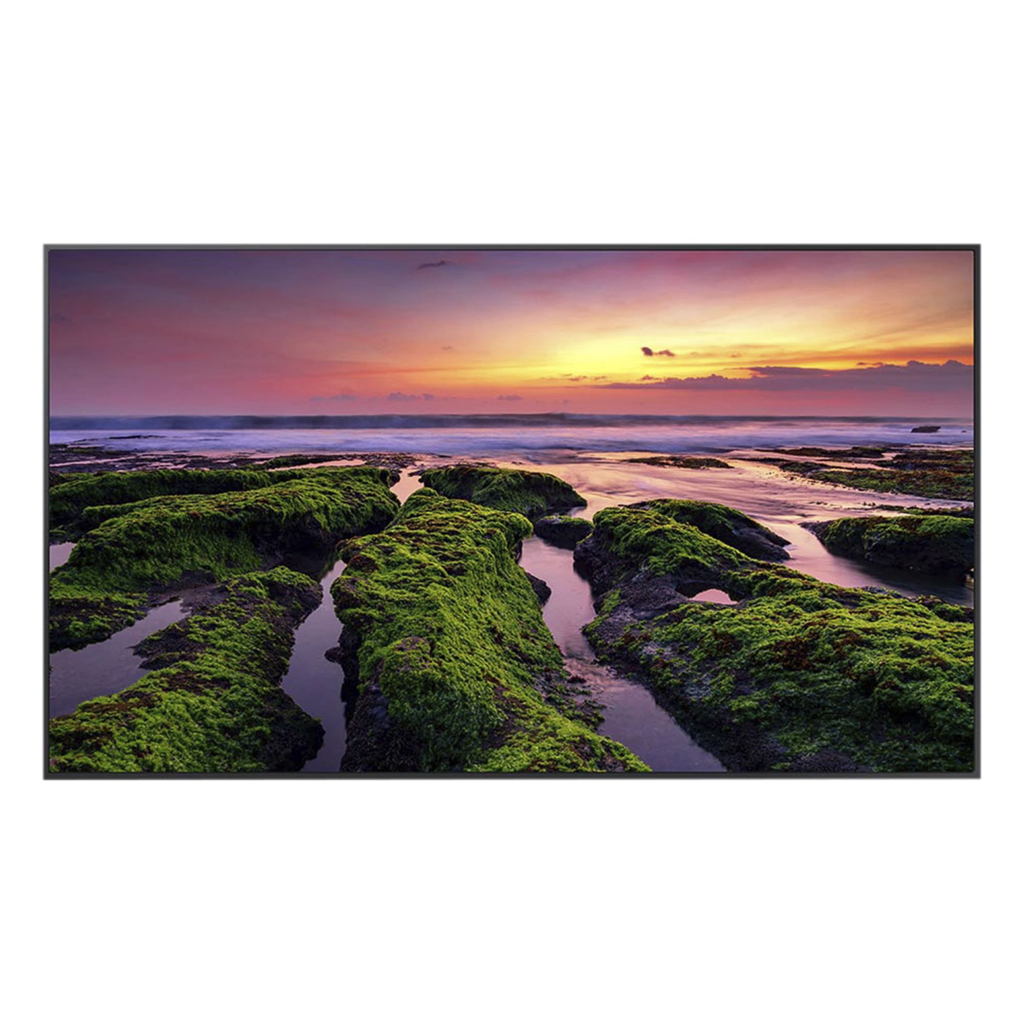 Pantalla Profesional LED de 65" para marketing digital / UHD 4K (3840x2160p) / Entradas de Video HDMI / uso 16/7 / Compatible VESA 400x300 / compatible con plataforma de gestion Samsung VXT