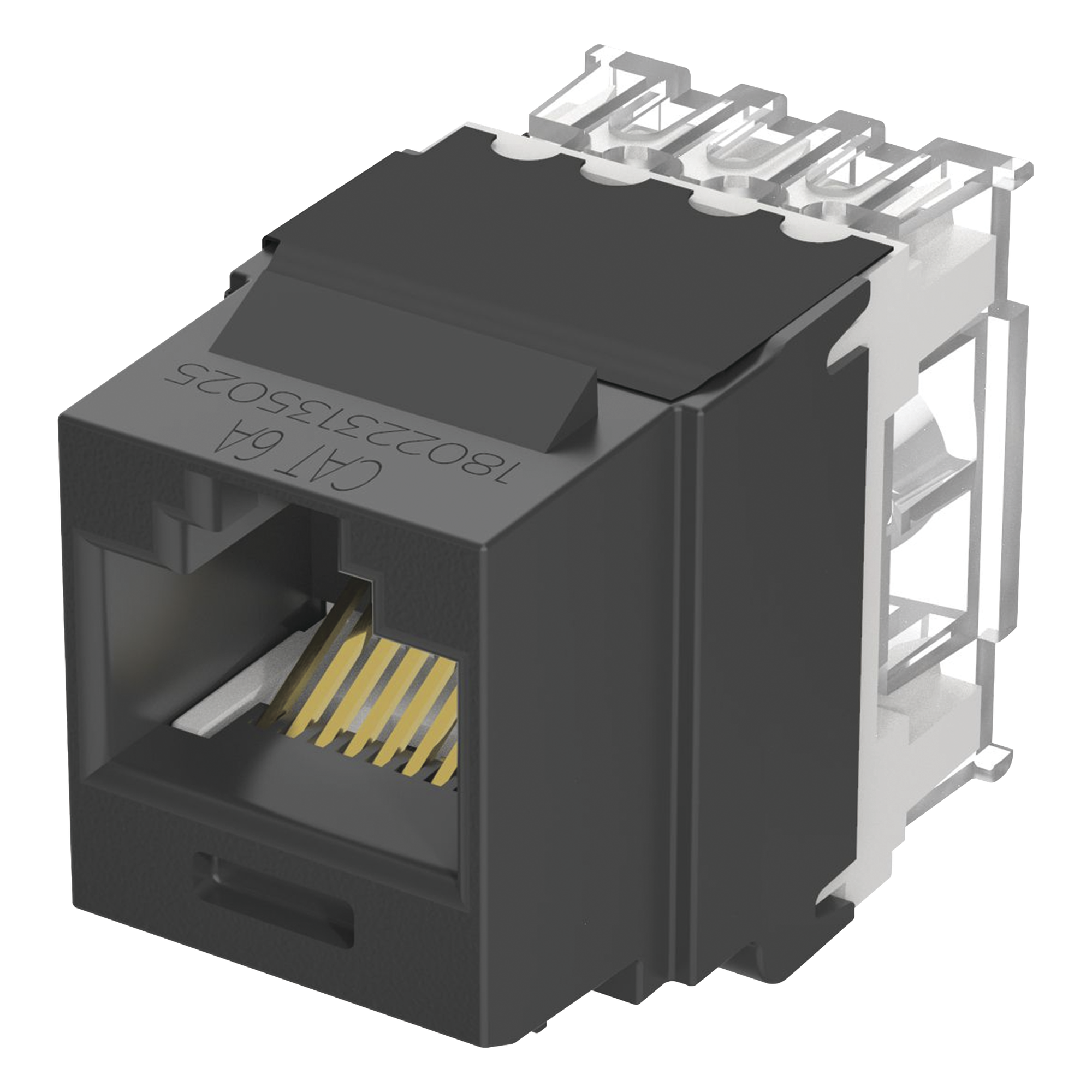Conector Jack Estilo 110 (de Impacto), Tipo Keystone, Categoría 6A, de 8 Posiciones y 8 Cables, Color Negro — PANDUIT · SKU NK6X88MBL