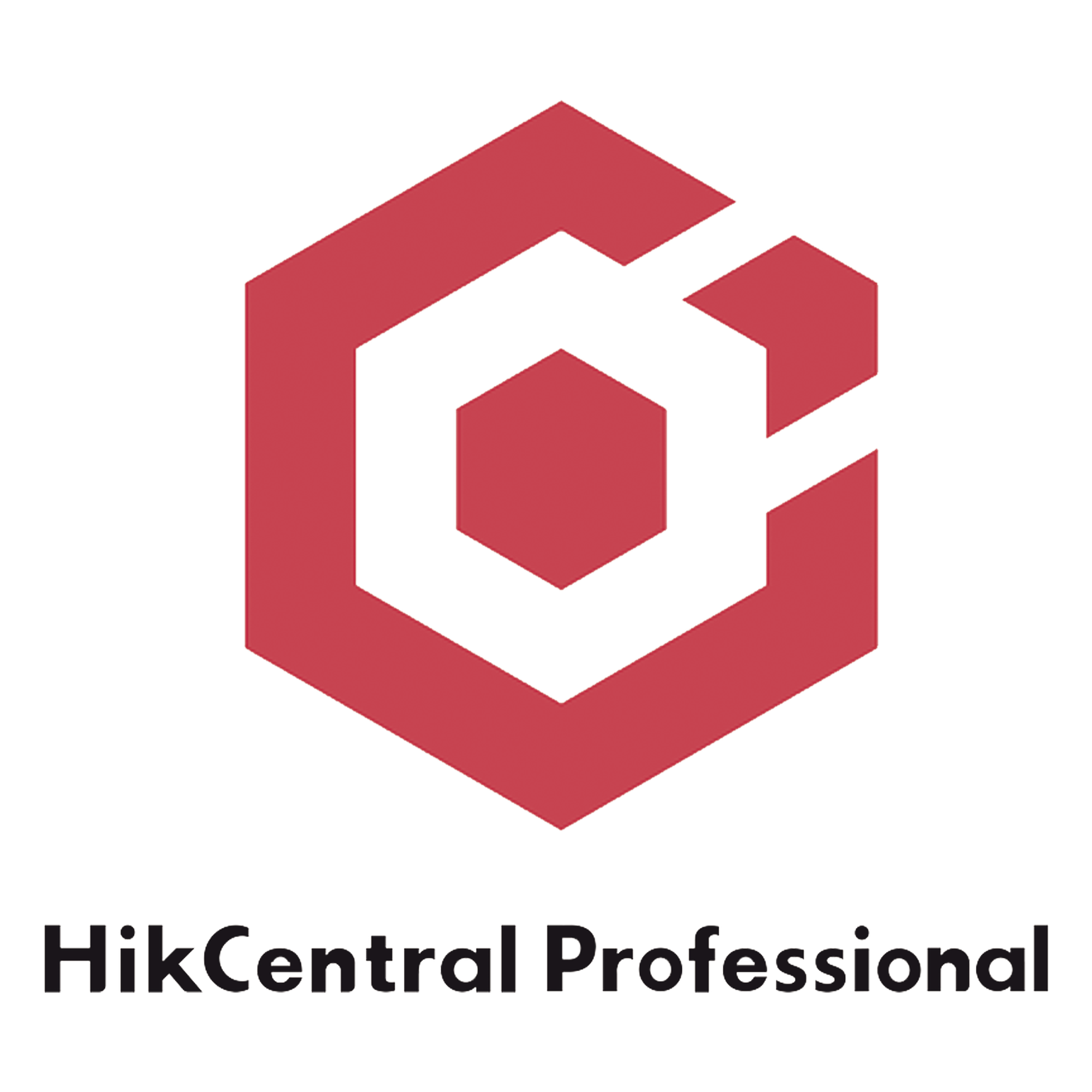 HikCentral Professional / Licencia Añade 1 Canal Adicional de Video (HikCentral-P-VSS-1Ch)