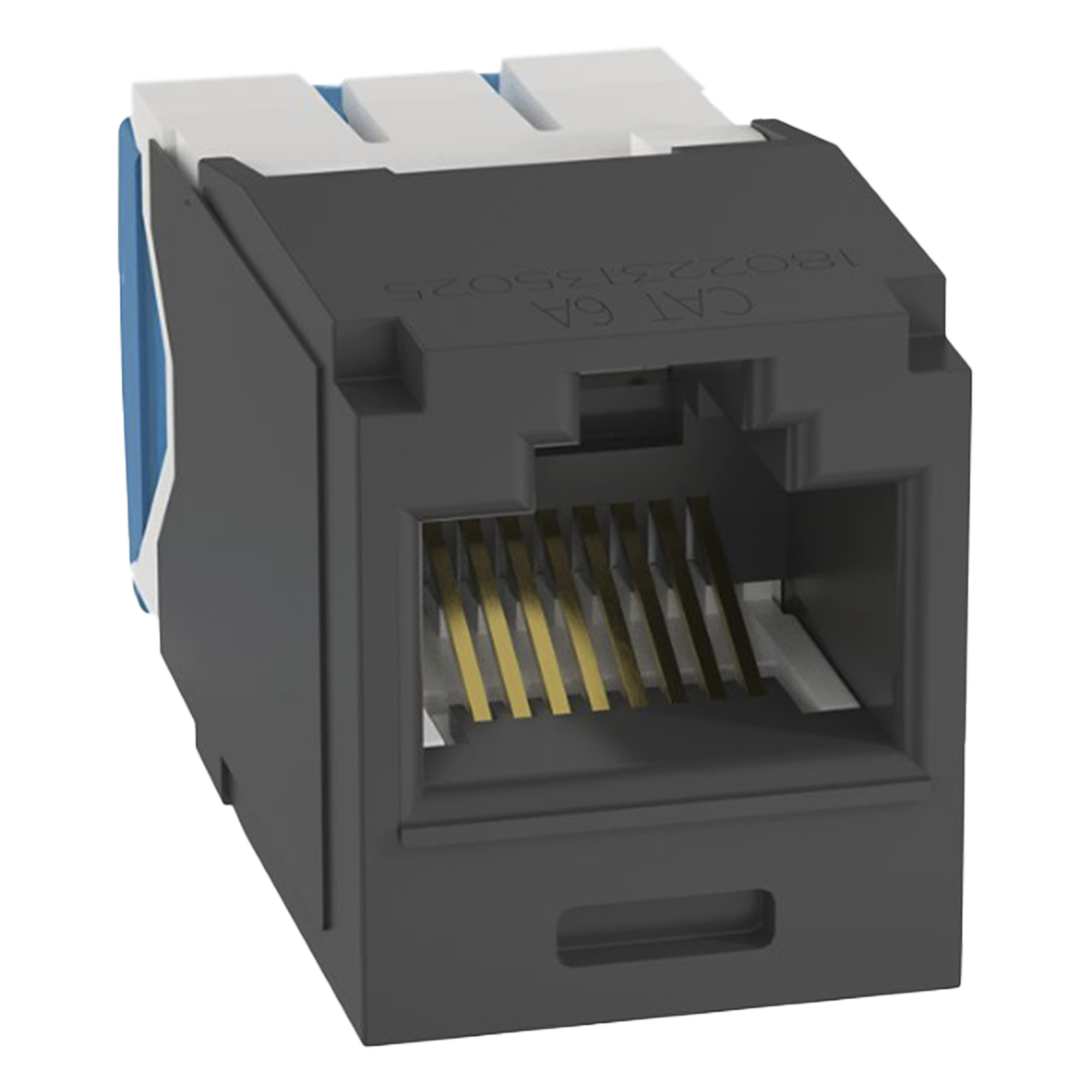 Conector Jack RJ45 Estilo TG, Mini-Com, Categoría 6A, de 8 Posiciones y 8 Cables, Color Negro — PANDUIT · SKU CJ6X88TGBL