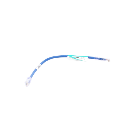 Cable de Parcheo UTP Categoría 6, con Plug Modular en Cada Extremo - 0.3 Metros (1 Pie) - Azul