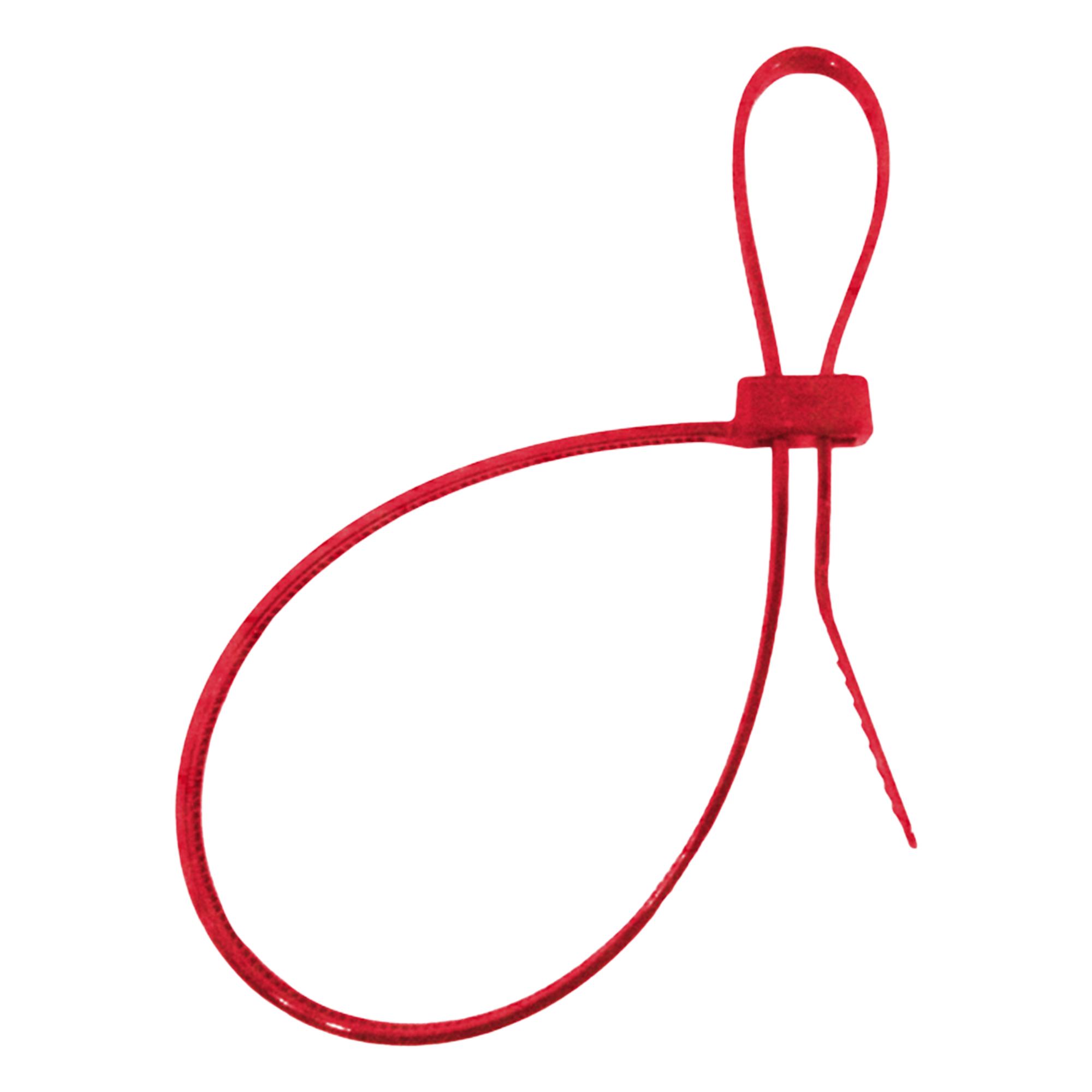 Cincho plástico de doble lazo / Nylon resistente / -73°C a 200°C / Paquete 100 pzas / 0.24 ft lazo — SAFE FIRE DETECTION INC. · SKU RG-1113-C