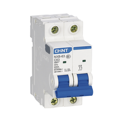 Pastilla para Riel Din, 2 Polos, 32 Amp, Vca:110/415v, 6kA, Catálogo: NXB632PC32.
