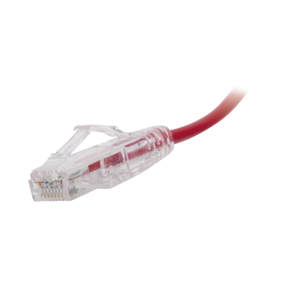 Cable de Parcheo Slim UTP Cat6 - 30 cm (11.81 Pulgadas) Rojo Diámetro Reducido (28 AWG)