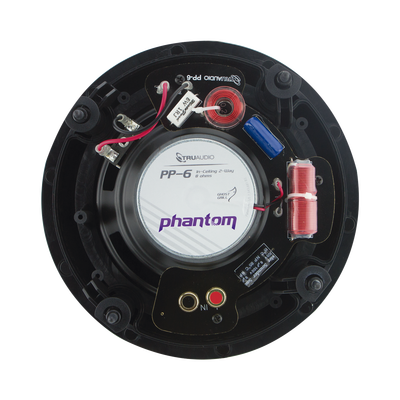 Altavoz de techo de 2 vias | woofer de 6.5in | Tweeter de 1in | 90 watts | 8 Ohms