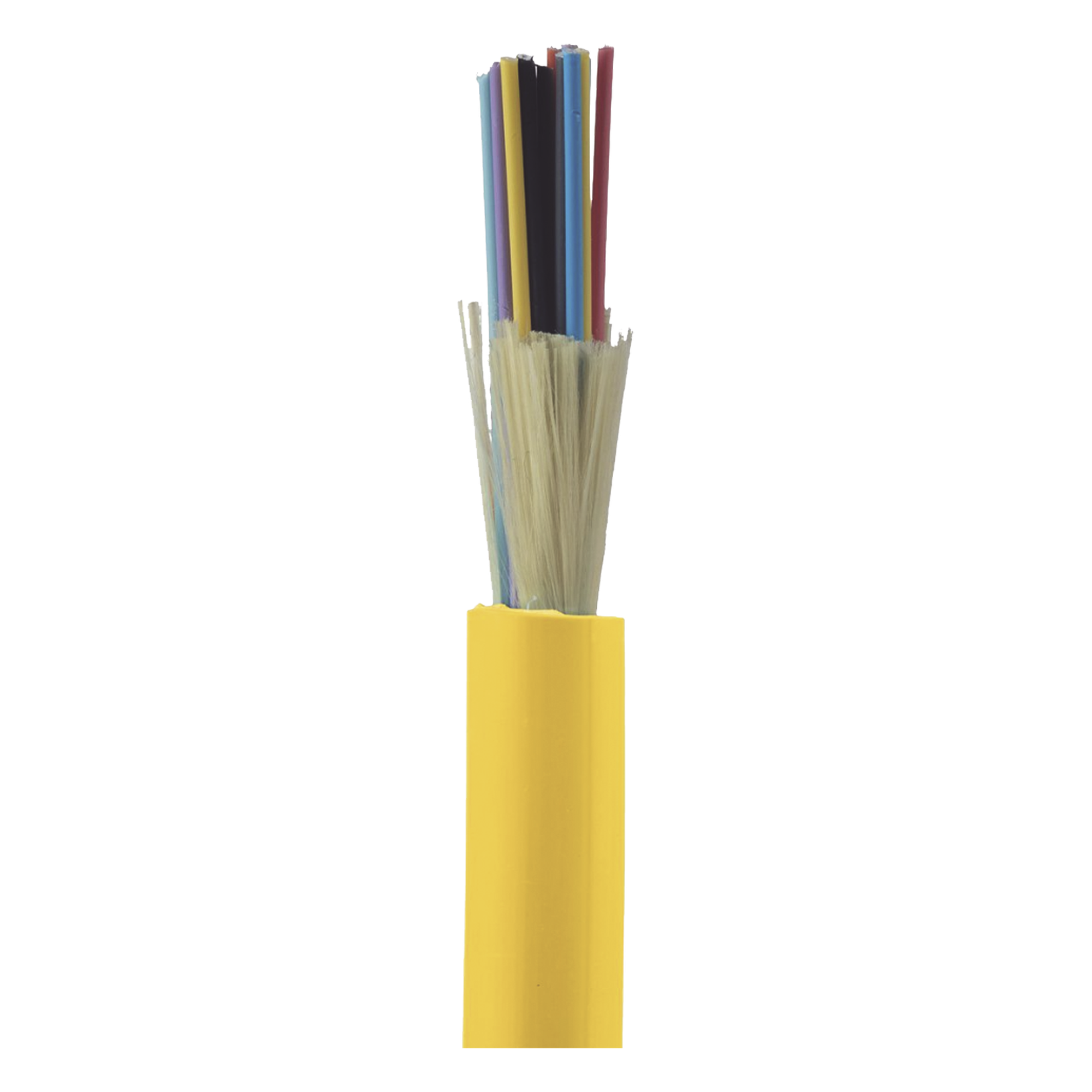 Cable de Fibra Óptica de 24 Hilos, Monomodo OS2 9/125, Interior, Tight Buffer 900um, No Conductiva (Dieléctrica), OFNP (Plenum), Precio Por Metro — PANDUIT · SKU FSDP924Y