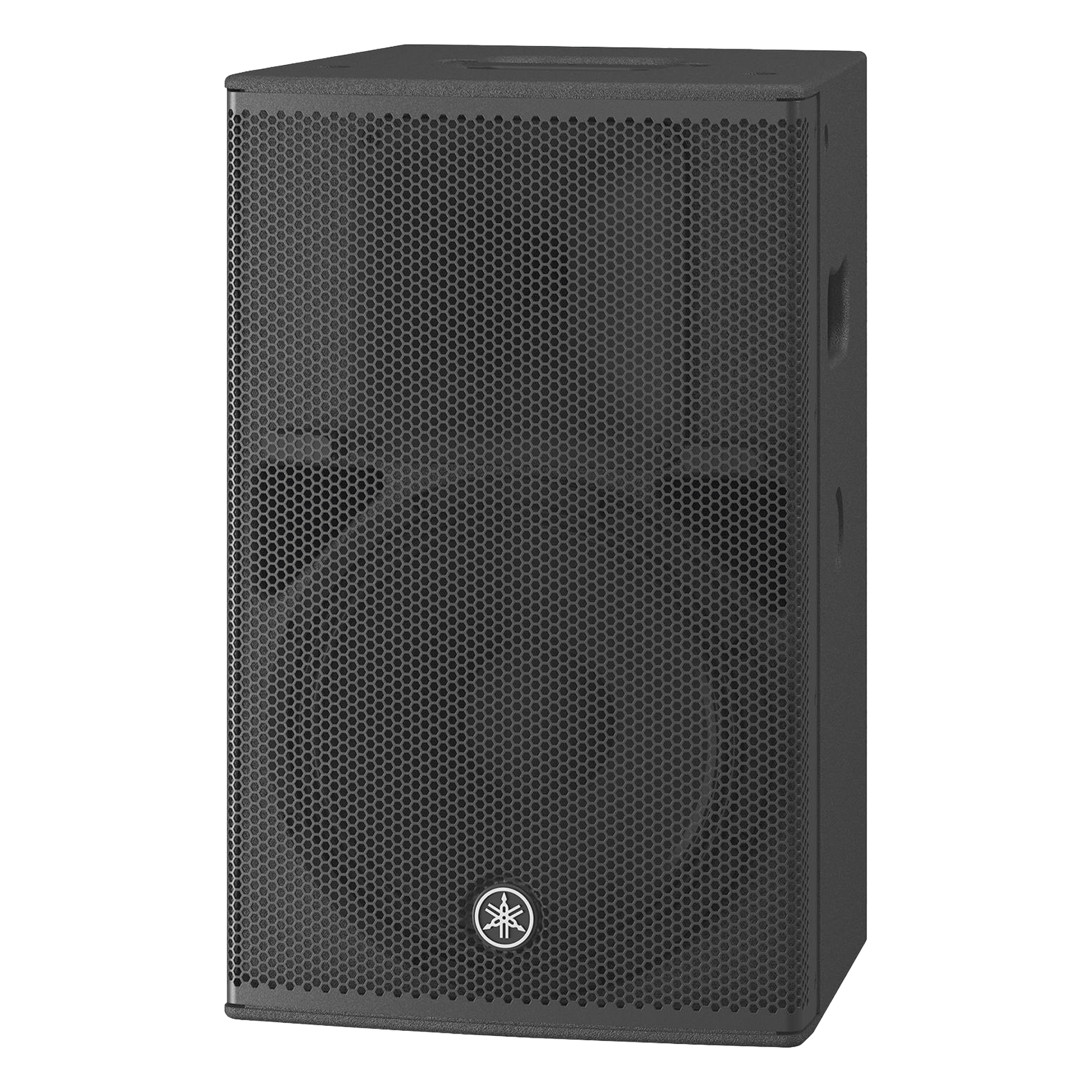 Altavoz Amplificado 12 in | Potencia: 1000w | Amplificacion Clase-D | Hecho en Madera | Para aplicaciones de Instalacion y Refuerzo Sonoro