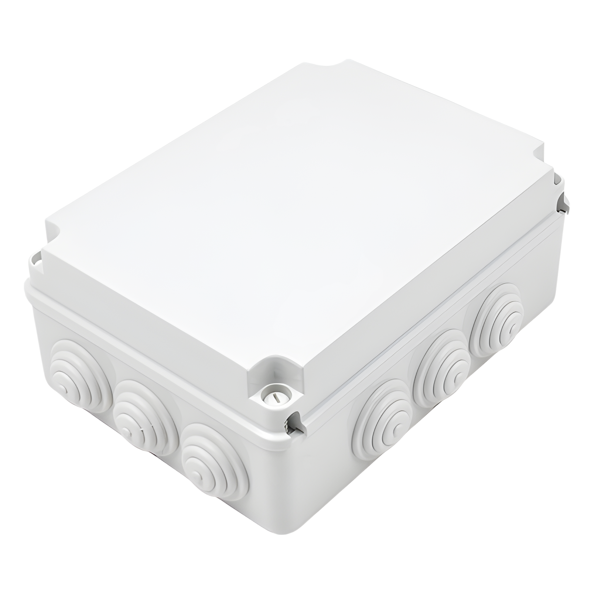 Caja Estanca de PVC Para Derivación y Conexión, 12 Entradas, Tapa Atornillada, 300x220x120 mm (Área interna), Uso Exterior IP55, Material que no Propaga el Fuego y Libre de Hálogenos — GEWISS · SKU GW-44-009