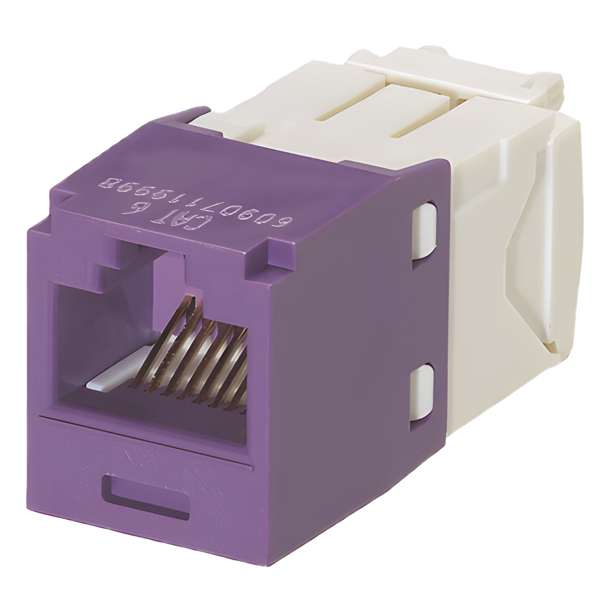 Conector Jack RJ45 / Categoría 6 / 8P8C / Sin herramienta de impacto / Violeta / -10°C a 65°C — PANDUIT · SKU CJ688TGVL