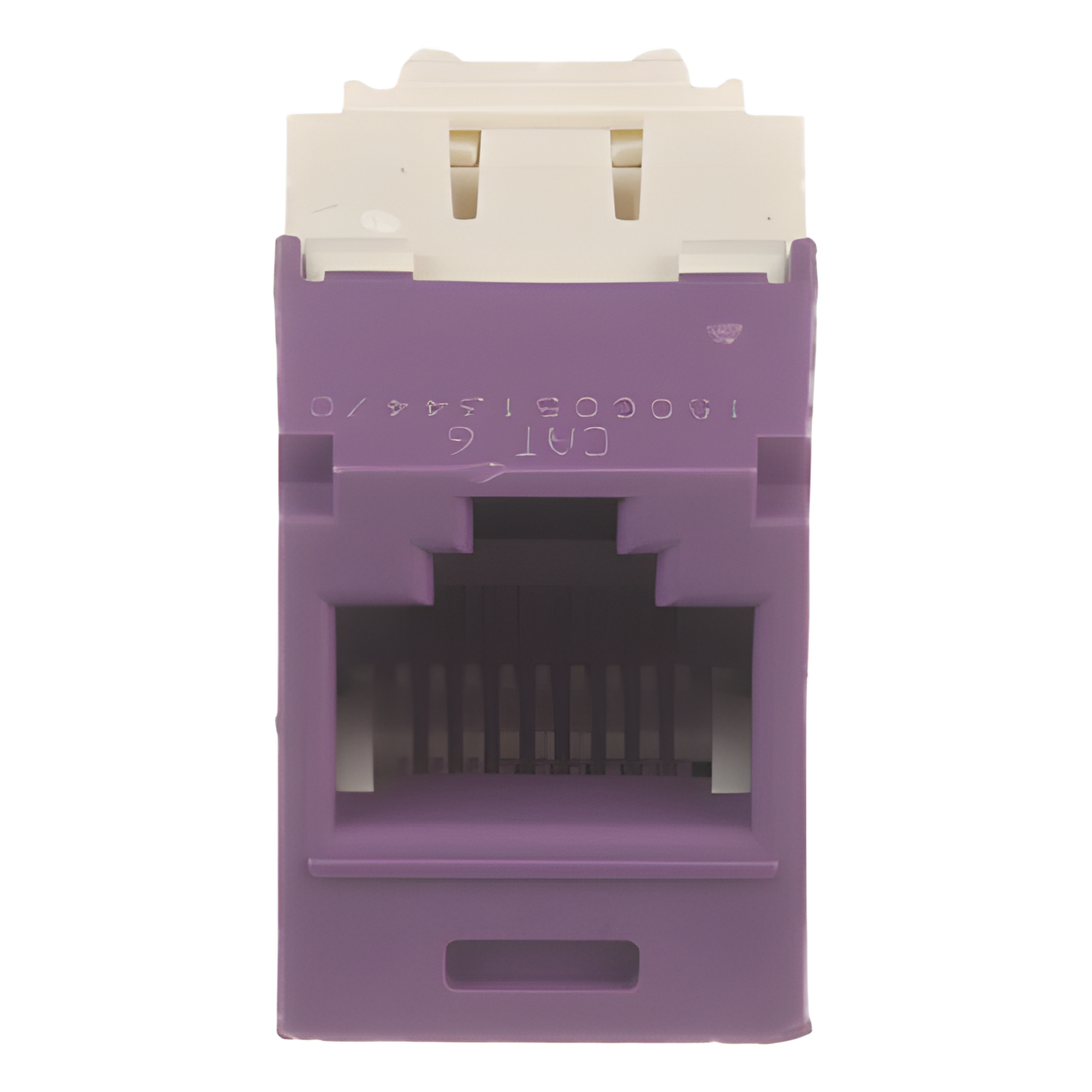 Conector Jack RJ45 / Categoría 6 / 8P8C / Sin herramienta de impacto / Violeta / -10°C a 65°C
