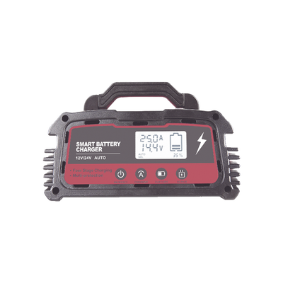 Cargador de Baterías / 12 o 24 Vcc / hasta 250 Ah / 25 A / Display LCD 