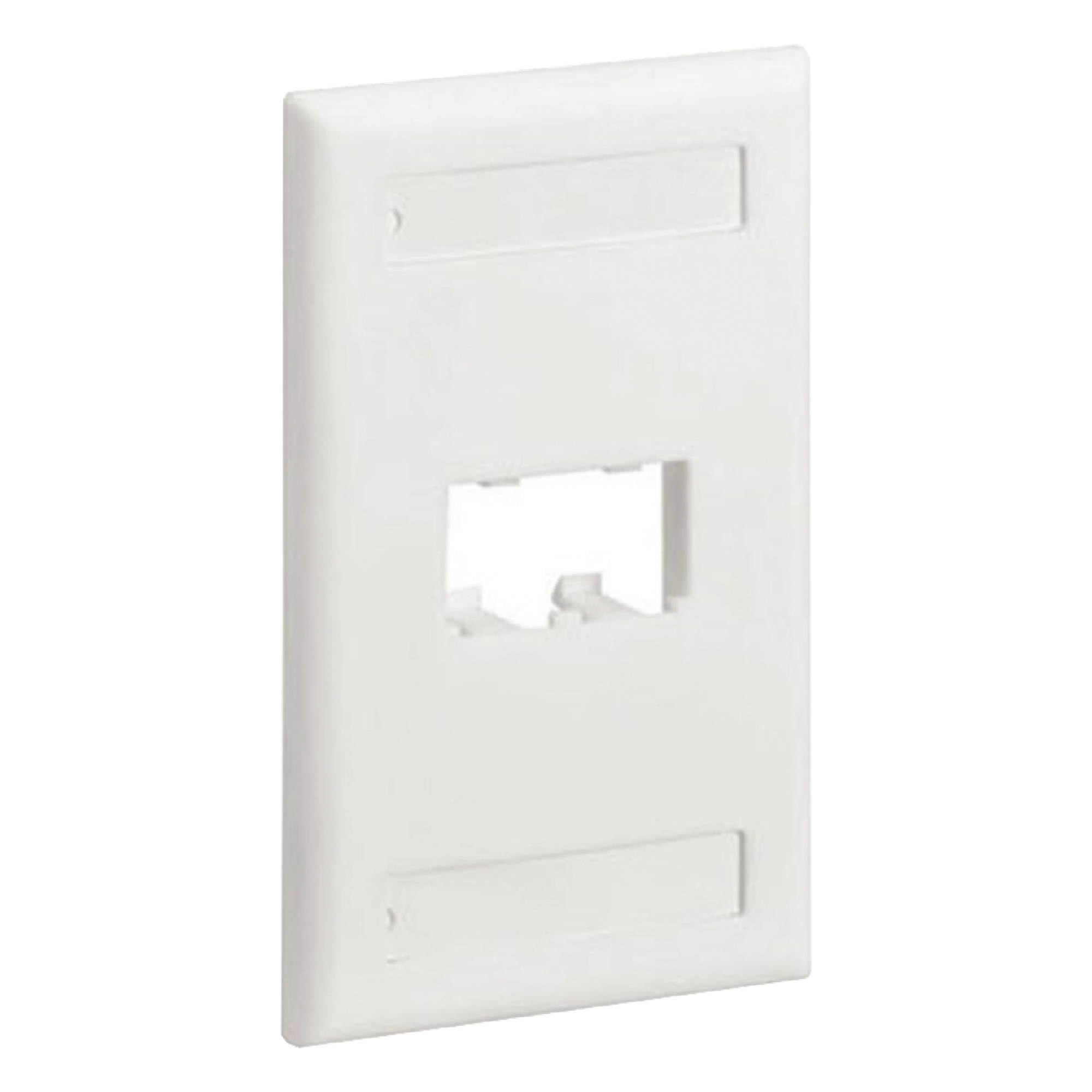 Placa de Pared Vertical Clásica, Salida Para 2 Puertos Mini-Com, Con Espacios Para Etiquetas, Color Blanco Mate — PANDUIT · SKU CFPL2IWY