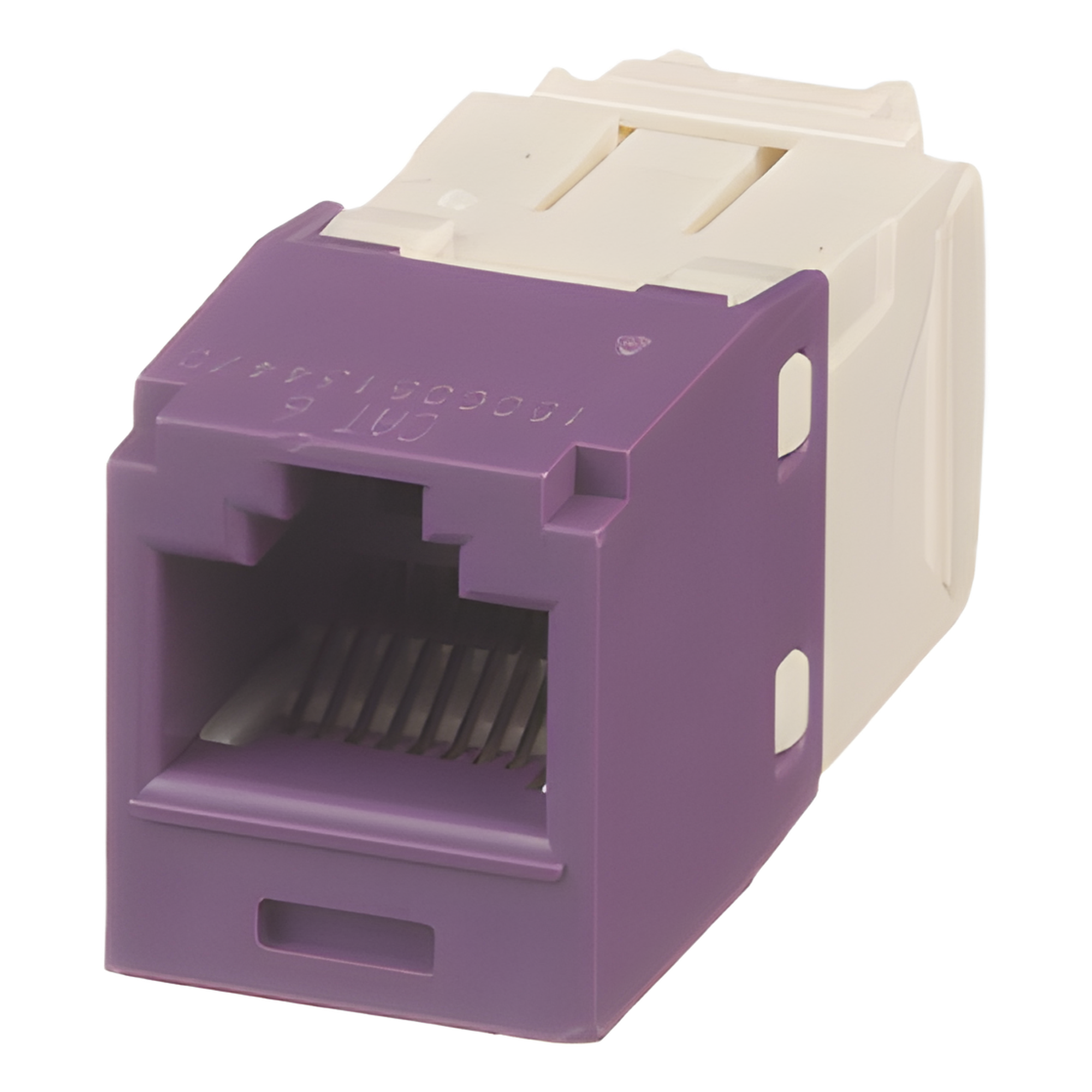 Conector Jack RJ45 / Categoría 6 / 8P8C / Sin herramienta de impacto / Violeta / -10°C a 65°C