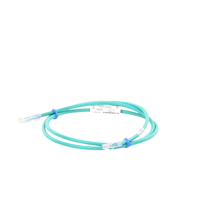 Cable de Parcheo UTP Categoría 6, con Plug Modular en Cada Extremo - 1.5 Metros (4.92 Pies) - Verde