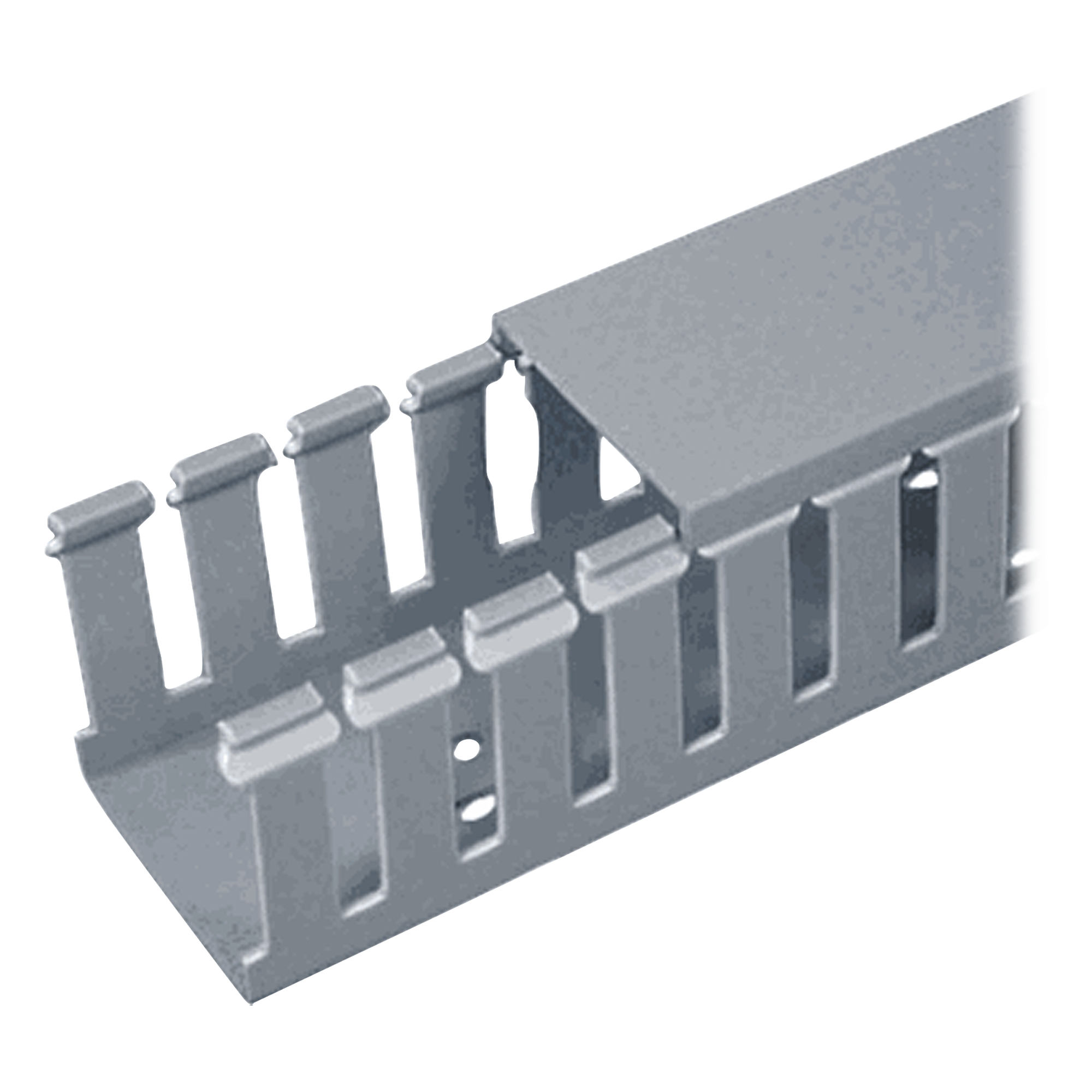 Canaleta Ranurada de PVC con Tapa, Tipo F, 32 mm de Ancho, 28.7 mm de Alto y 2 m de Largo, Color Gris — PANDUIT · SKU FC1X1LG2