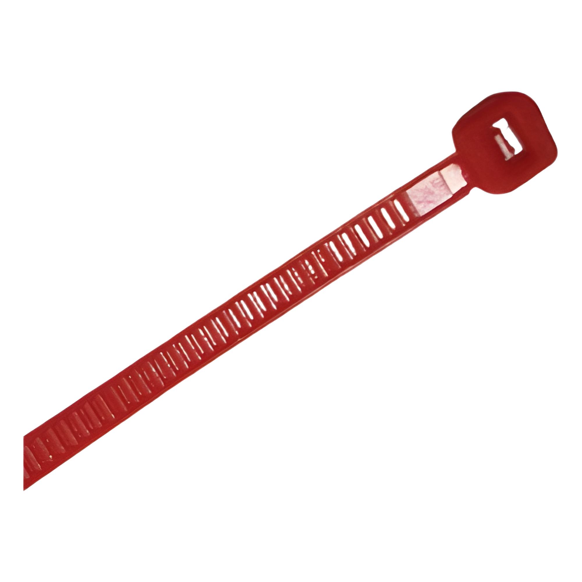 Cincho de nylon color rojo 4.8 x 300mm (100pzs) (4200-04003)  — THORSMAN · SKU TH-300-R