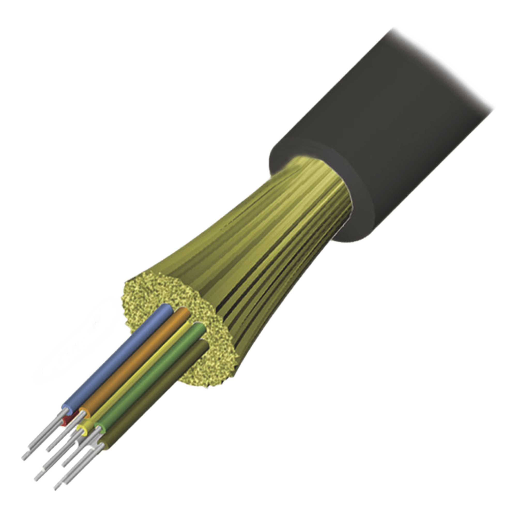Cable de Fibra Óptica de 12 Hilos, Interior/Exterior, Tight Buffer, No Conductiva (Dieléctrica), Plenum, Monomodo OS2, 1 Metro (3.28 Pies) — SIEMON · SKU 9GD8P012G-E201A