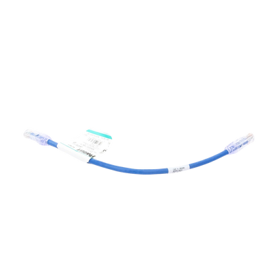Cable de Parcheo UTP Categoría 6, con Plug Modular en Cada Extremo - 0.3 Metros (1 Pie) - Azul
