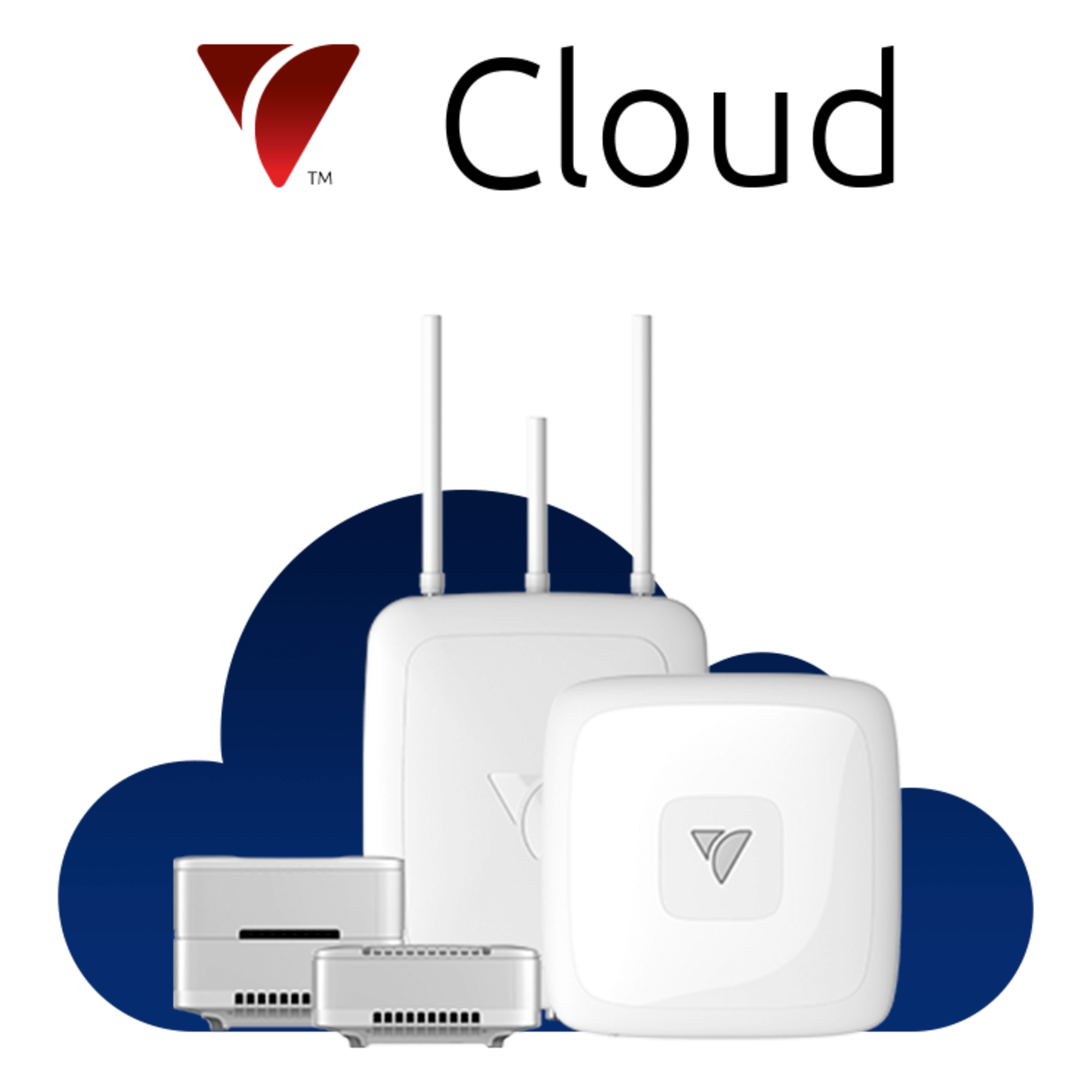 Servicios en la Nube de Veea por 1 año / Gestión Remota y Segura / Telemetría Avanzada / Actualizaciones OTA / Soporte Técnico Continuo / Operación de Dispositivos VeeaHub — VEEA · SKU VEEA-CLOUD-1YR