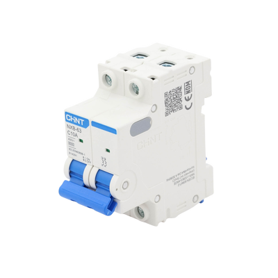 Pastilla para Riel Din, 2 Polos, 10 Amp, Vca:110/415v, 6kA, Catálogo: NXB632PC10.